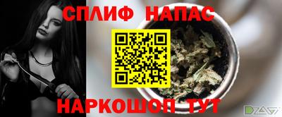 шишки Бийск