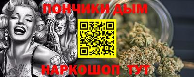 шишки Бийск