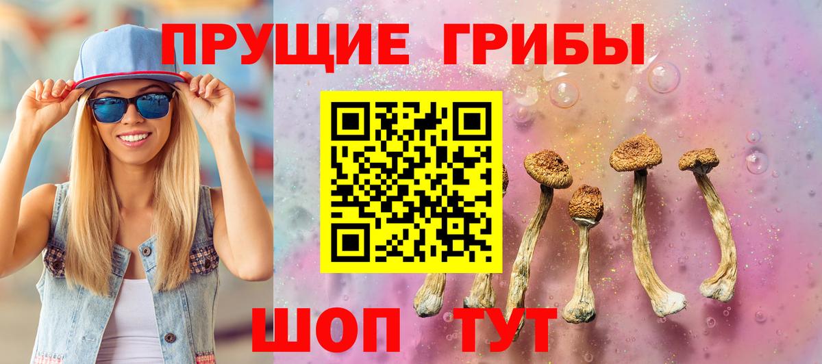 Псилоцибиновые грибы Psilocybine cubensis Кандалакша